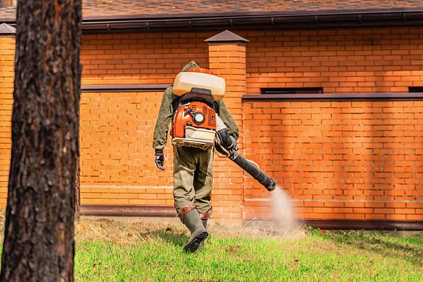 Trusted Termite Control service in Belmont, PA - Nex Pest Control